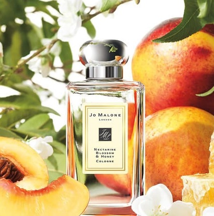 (น้ำหอม+กล่อง+โบว์) Jo Malone Nectarine Blossom & Honey 100ml. (เคาเตอร์ 6,400฿)