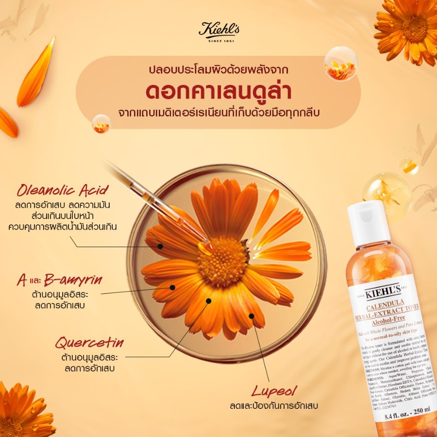 ขวดธรรมดา - Kiehl's Calendula Herbal Extract Toner Alcohol-Free 250ml. (เคาเตอร์ 1,820฿)