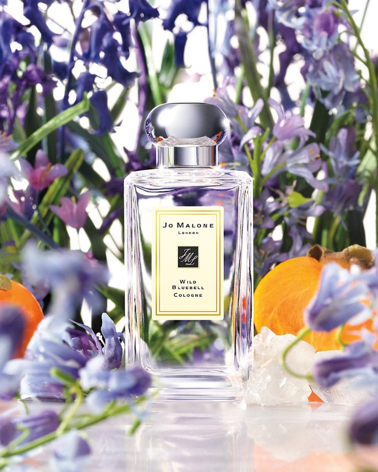 (น้ำหอม+กล่อง+โบว์) Jo Malone Wild Bluebell 100ml. (เคาเตอร์ 6,400฿)