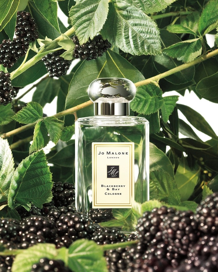 (น้ำหอม+กล่อง+โบว์) Jo Malone Blackberry & Bay 100ml. (เคาเตอร์ 6,400฿)